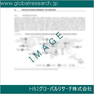 グローバルリサーチ調査資料のイメージ
